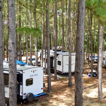 Paradise Ranch - Image 04